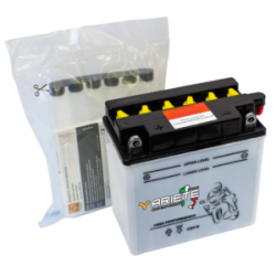 B38-6A BATTERIA 6V 13AH